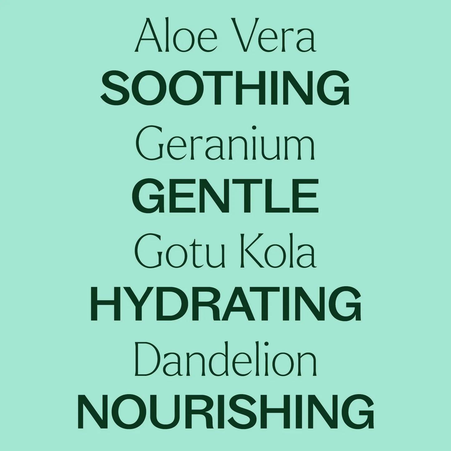 Aloe Vera Jelly