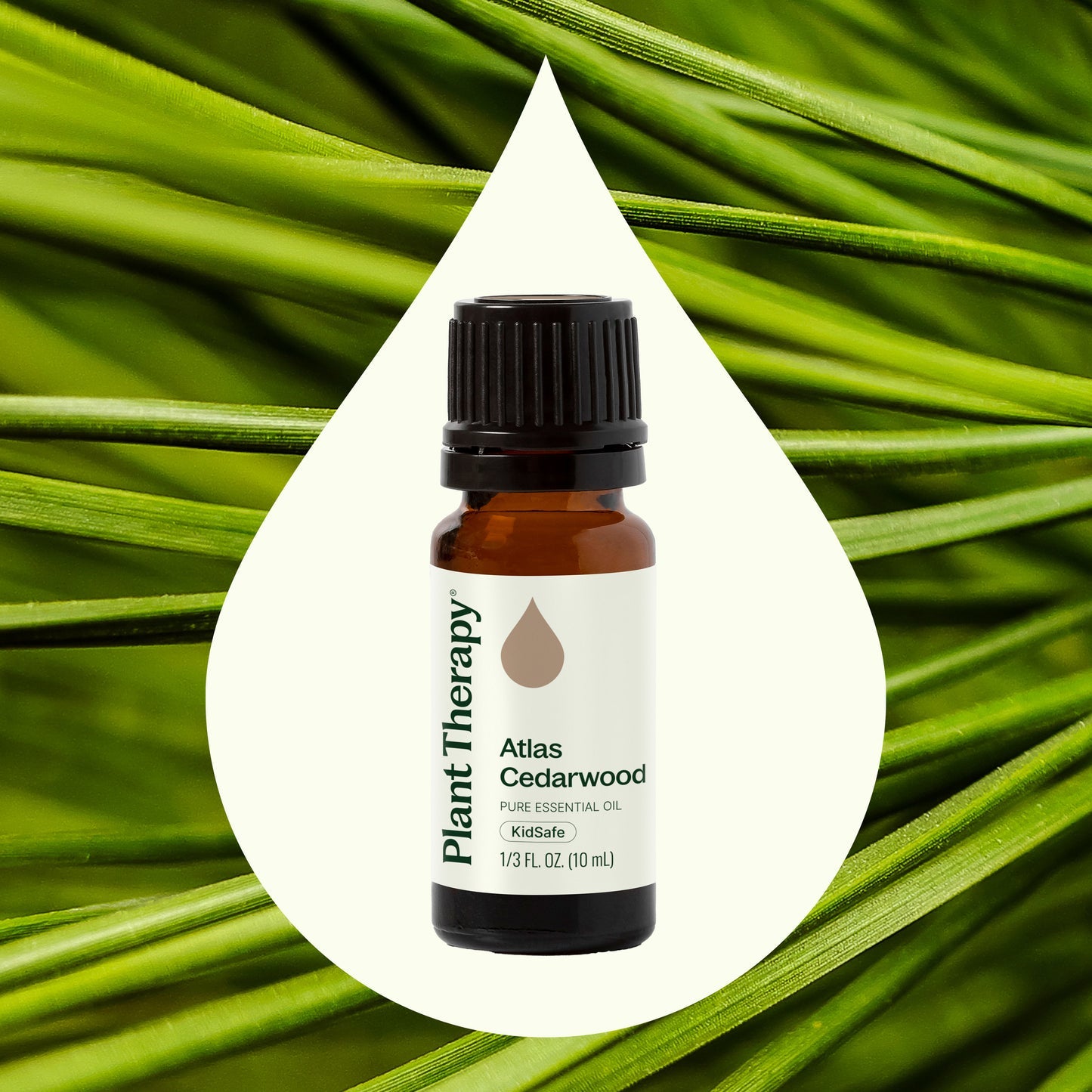 Cedarwood Atlas Essential Oil