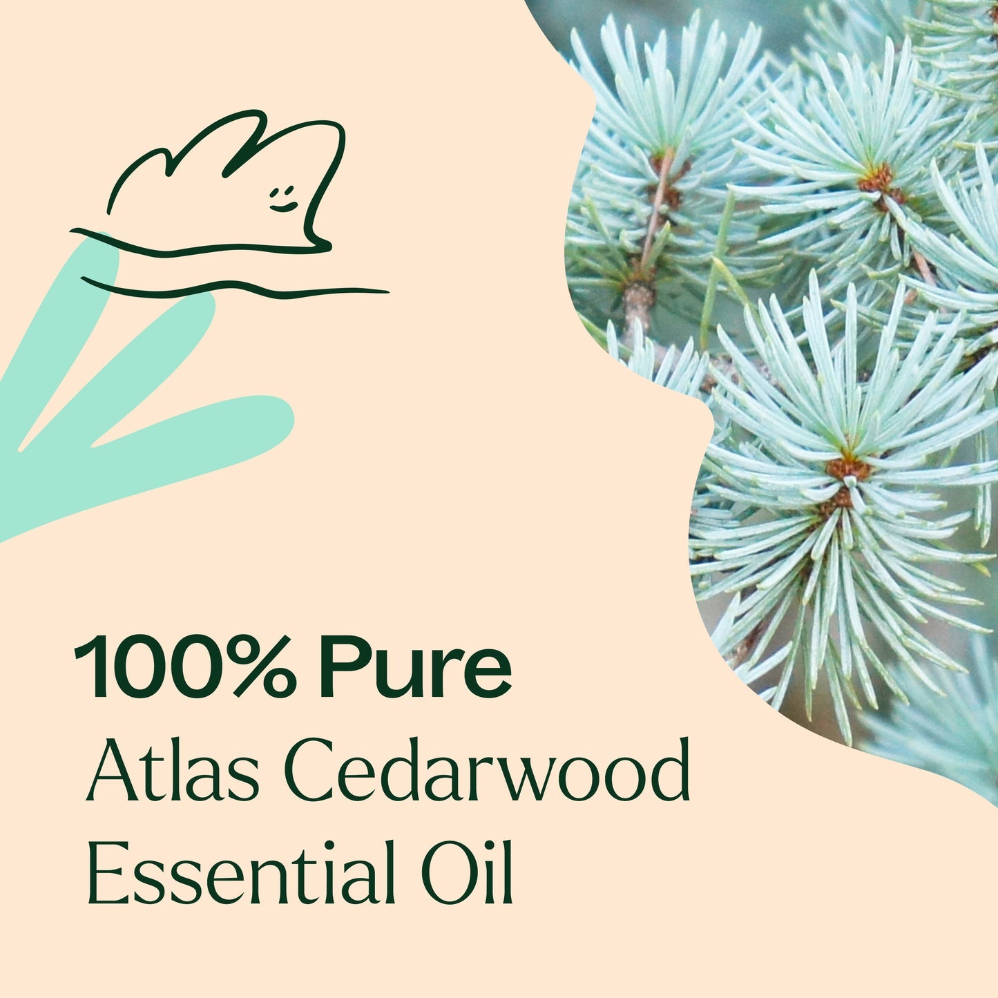 Cedarwood Atlas Essential Oil