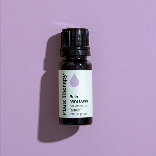 Balm Mint Bush