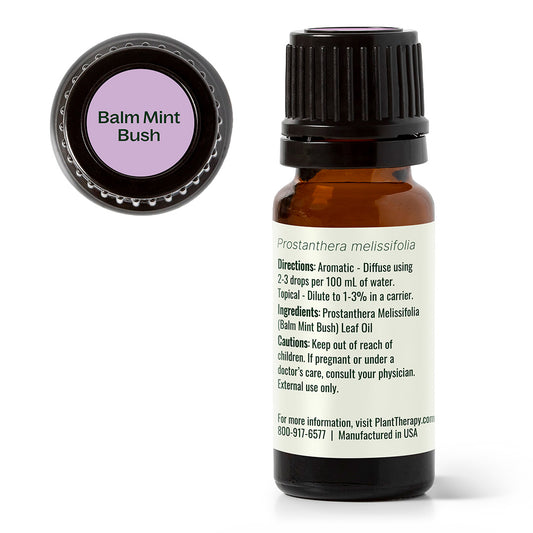 Balm Mint Bush