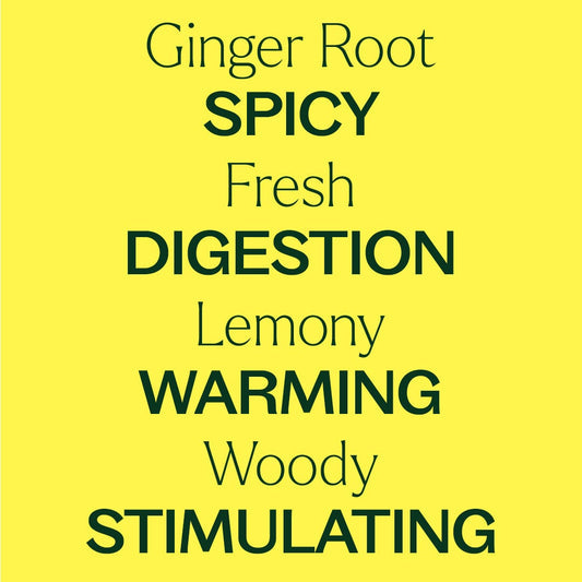 Ginger Root CO2 Essential Oil
