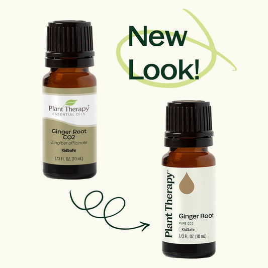 Ginger Root CO2 Essential Oil
