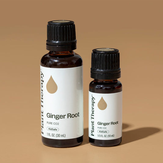 Ginger Root CO2 Essential Oil
