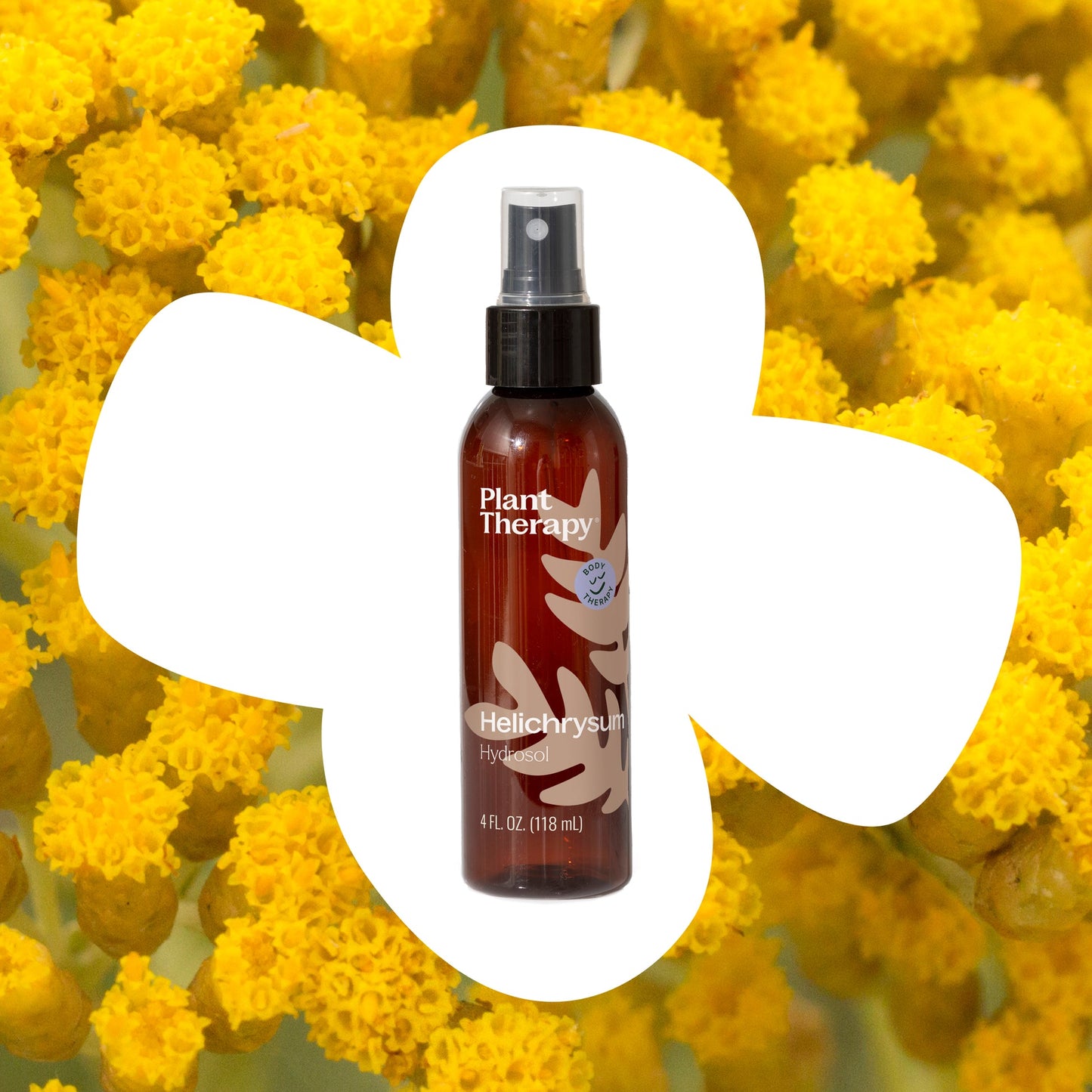 Helichrysum ORGANIC Hydrosol