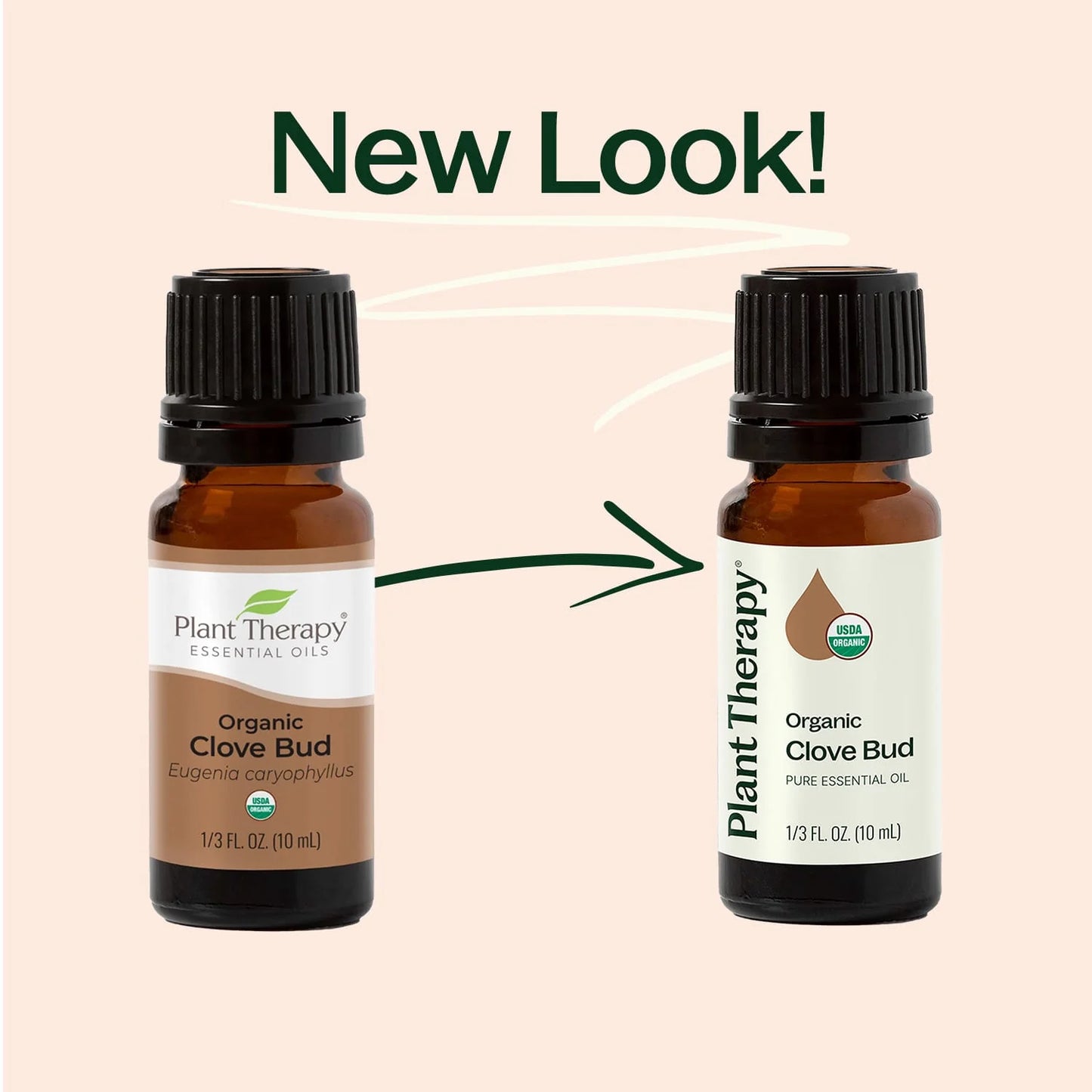 Clove Bud ORGANIC Essential Oil