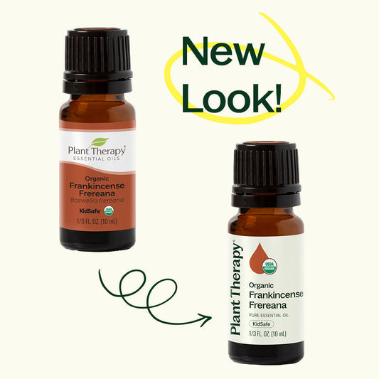 Frankincense Frereana ORGANIC Essential Oil