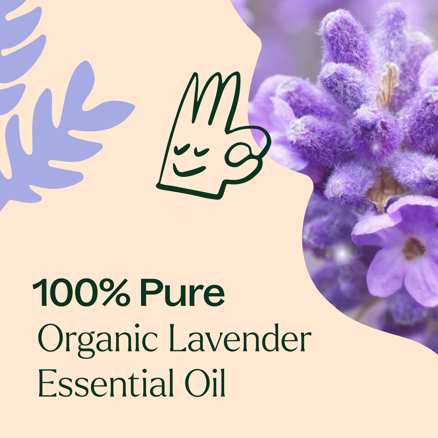 Lavender ORGANIC Essential Oil