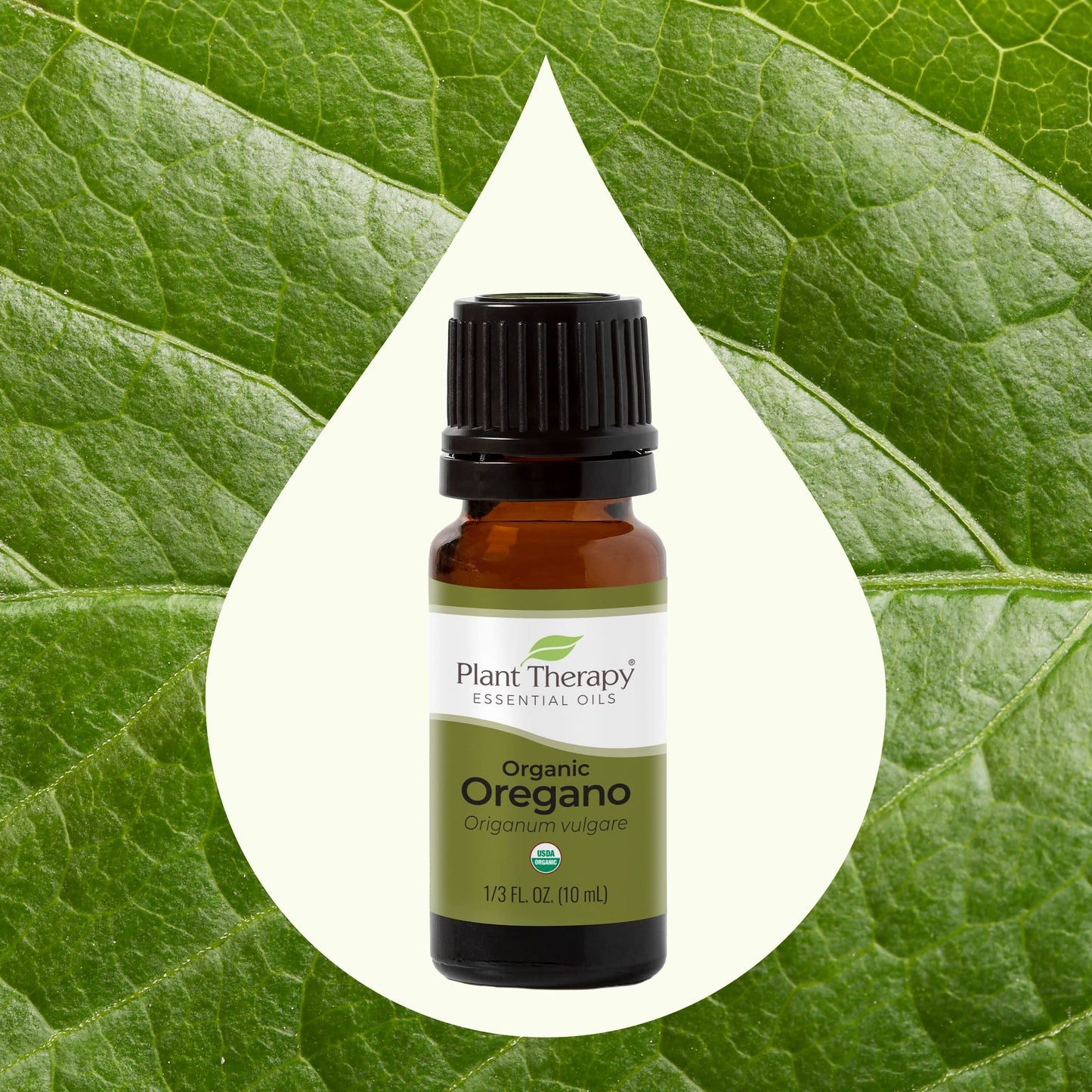 Oregano ORGANIC Essential Oil