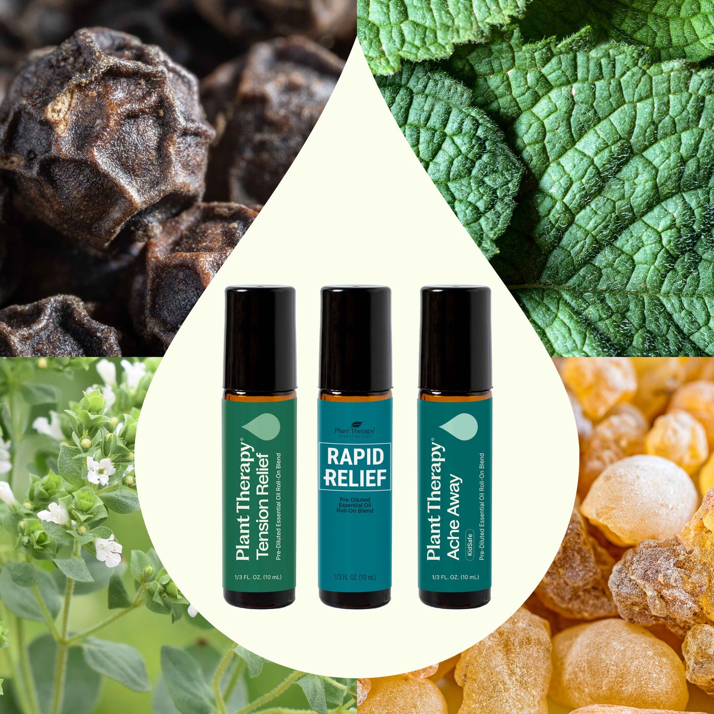 Pain Support Essential Oil Blend Roll-On Set