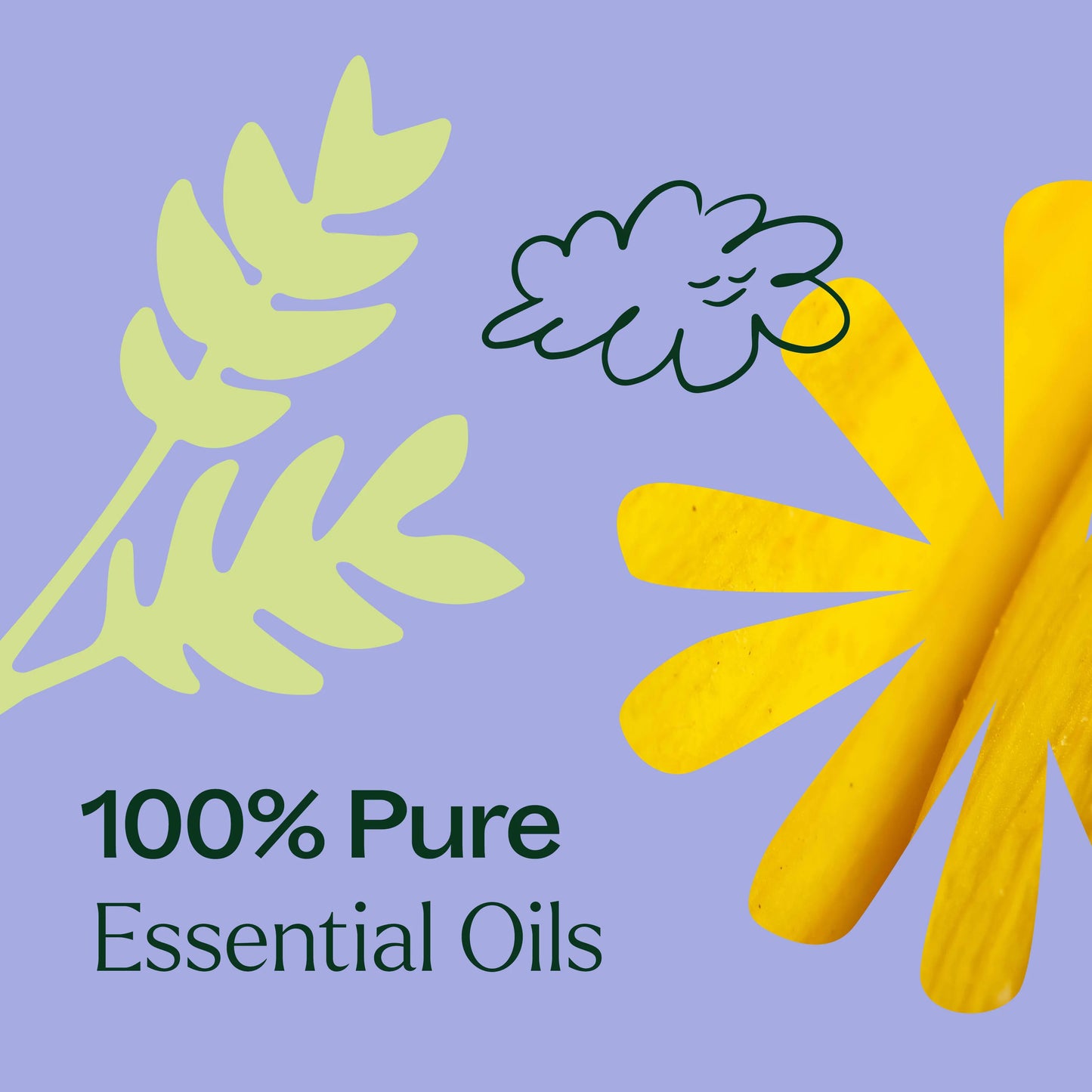 Worry Free Synergy 10ml Pre Diluted Roll On