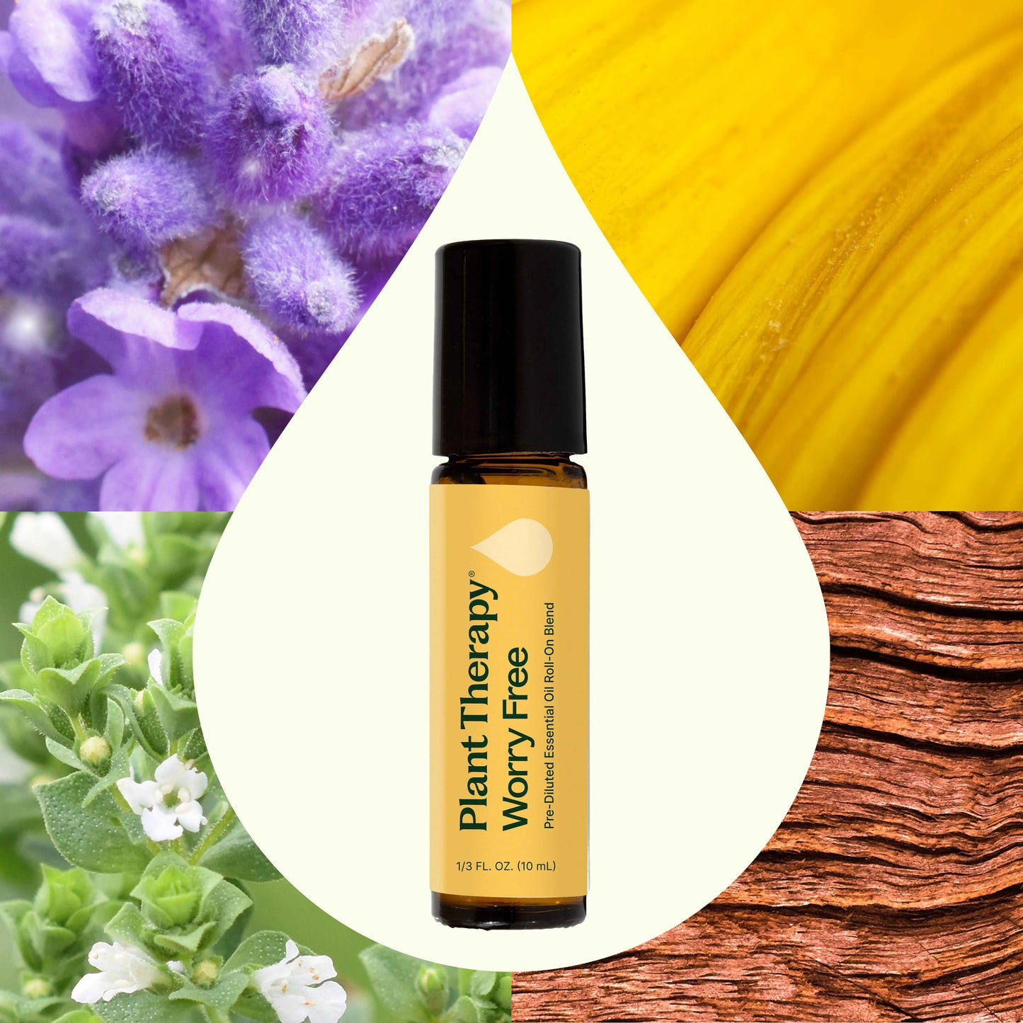 Worry Free Synergy 10ml Pre Diluted Roll On