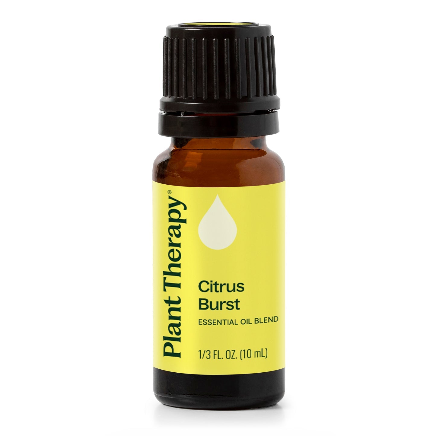 Citrus Burst Synergy – Plant Therapy Australia