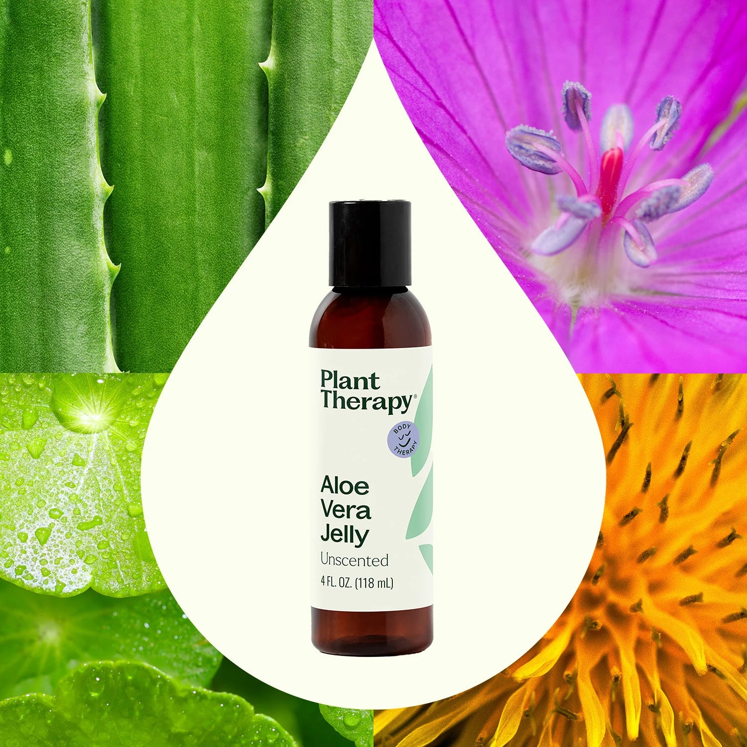 plant therapy aloe vera jelly Aloe Vera Jelly – Plant Therapy Australia