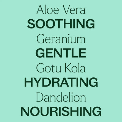 Aloe Vera Jelly