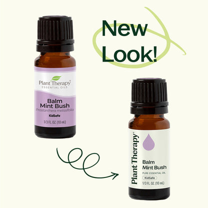 Balm Mint Bush