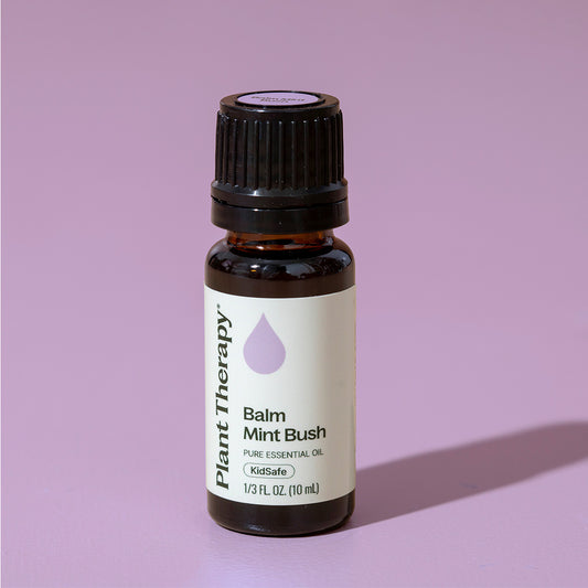 Balm Mint Bush
