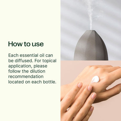 Christmas Magic Essential Oil Blend 3 Set