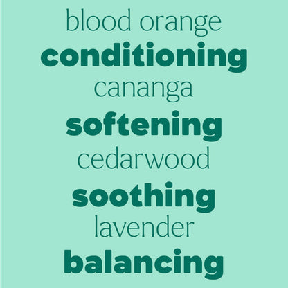 Hair Therapy Shine & Soothe Detangler Spray