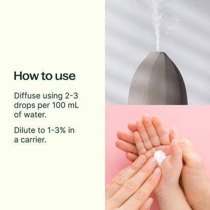 KIDSAFE Germ Destroyer Synergy