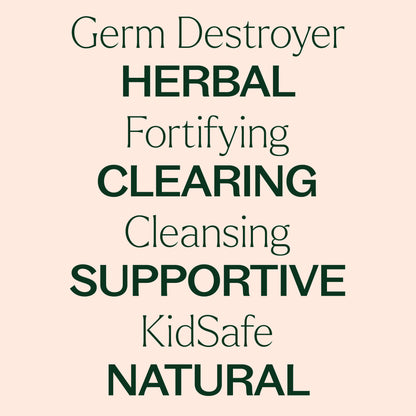 KIDSAFE Germ Destroyer Synergy