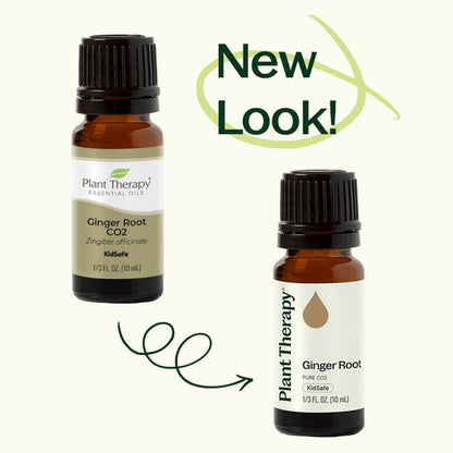 Ginger Root CO2 Essential Oil