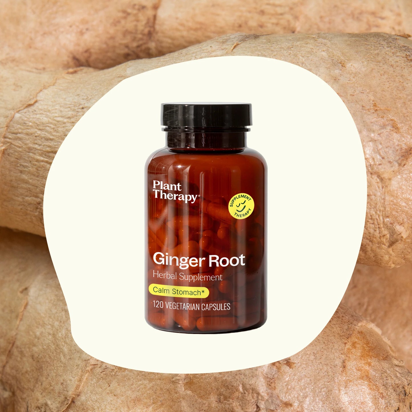 Ginger Root Herbal Supplement - 120 Capsules