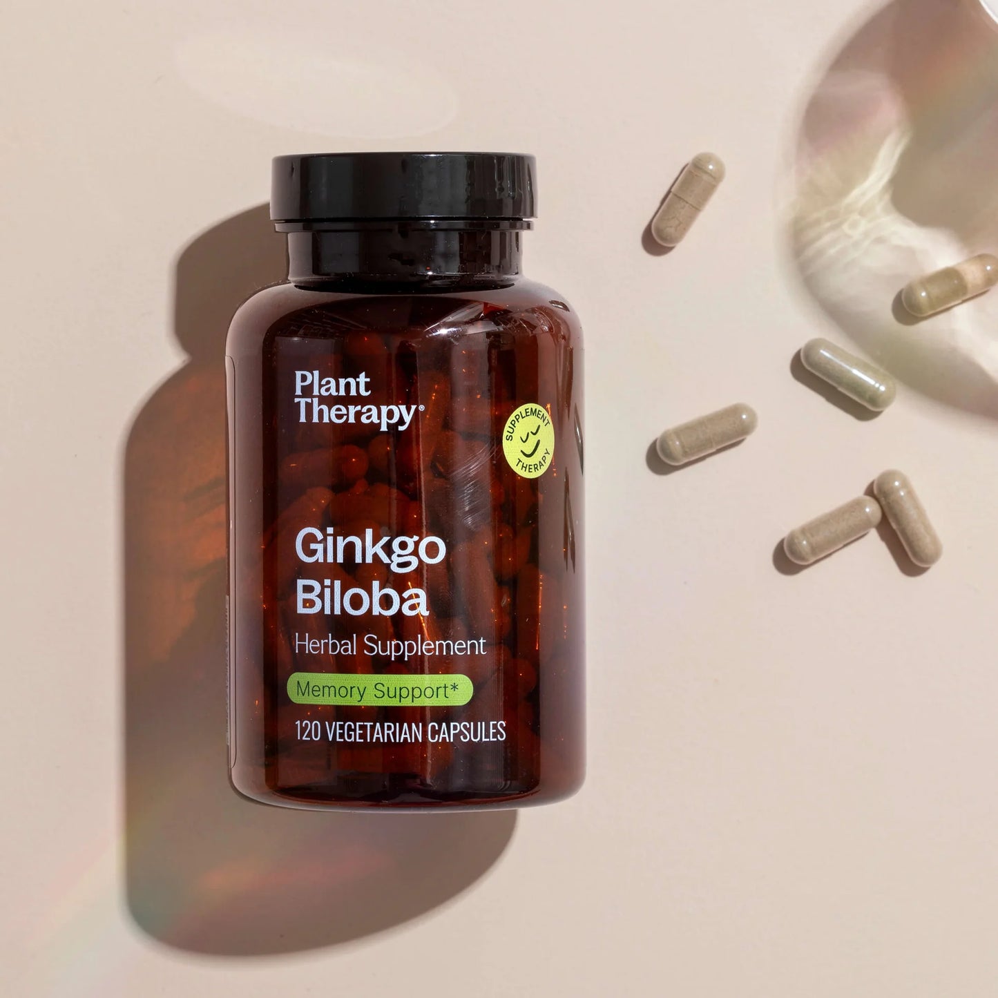 Ginkgo Biloba Herbal Supplement - 120 Capsules