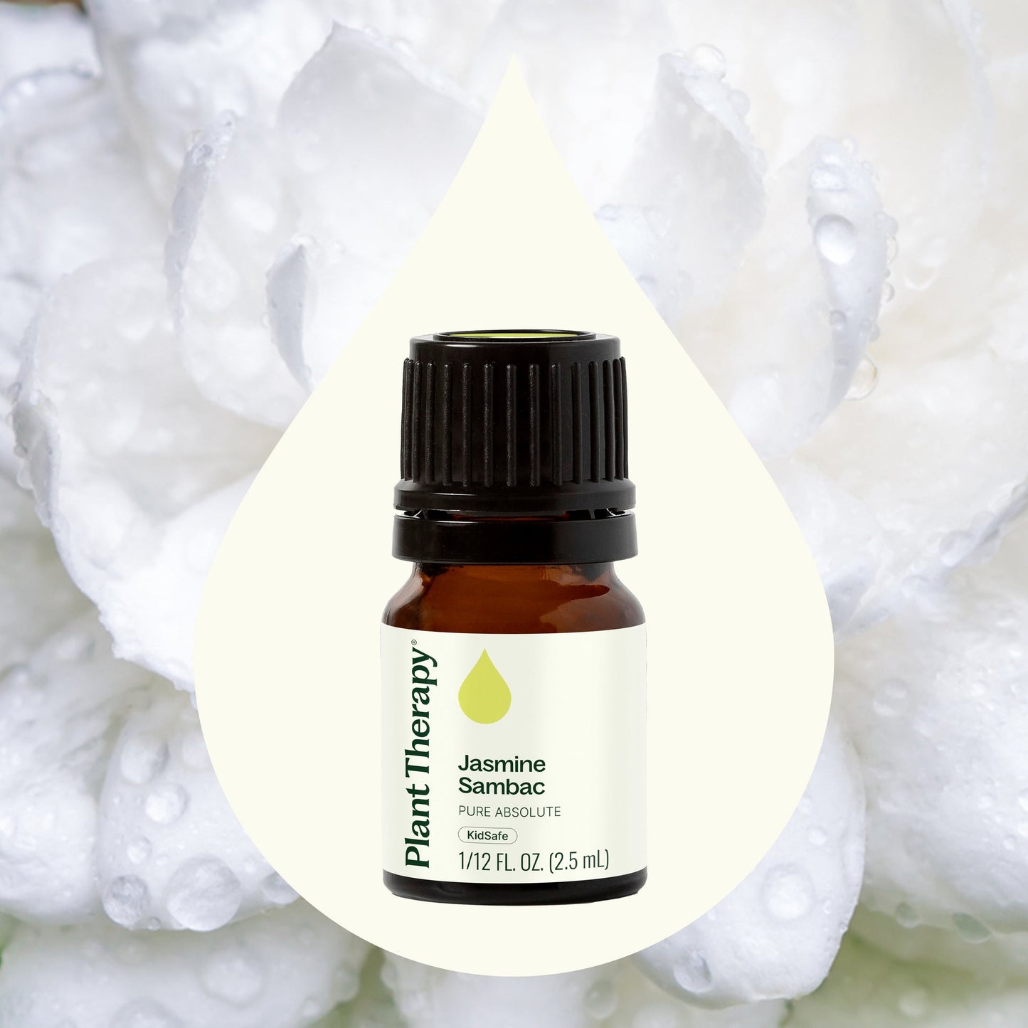 Jasmine Absolute Essential Oil