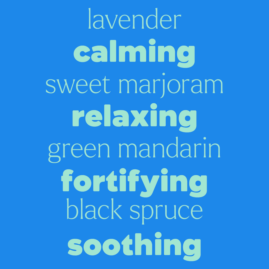 KIDSAFE The Essentials