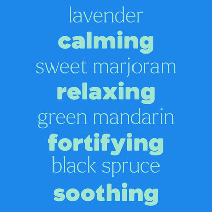 KIDSAFE The Essentials