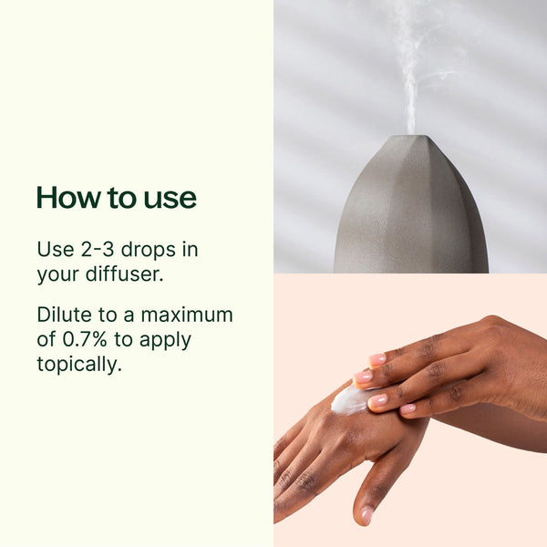 Lemon Myrtle Essential Oil – Plant Therapy Australia