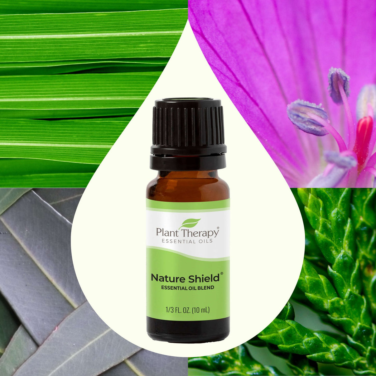 Nature Shield Synergy – Plant Therapy Australia