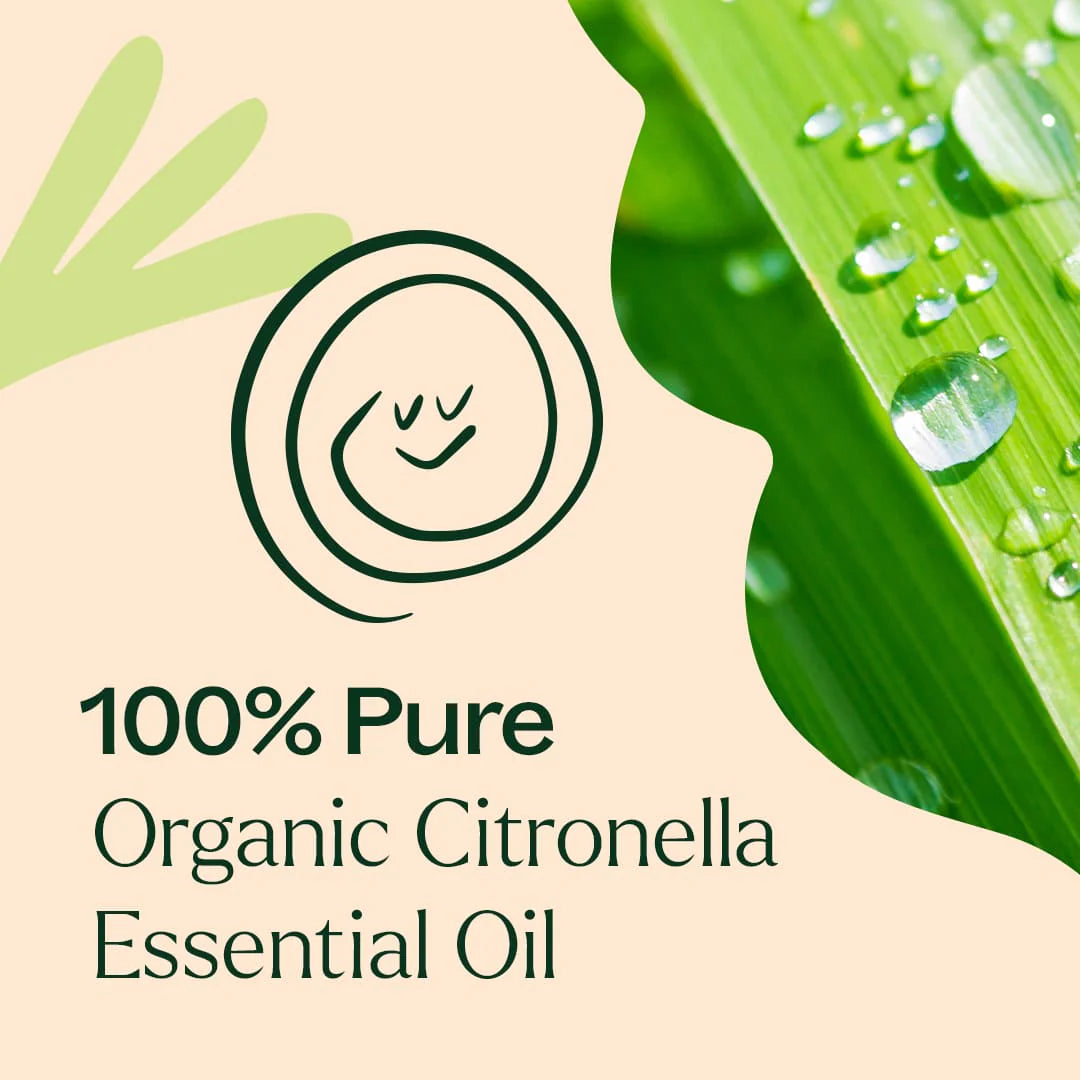 Citronella ORGANIC Essential Oil