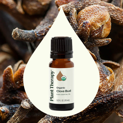 Clove Bud ORGANIC Essential Oil