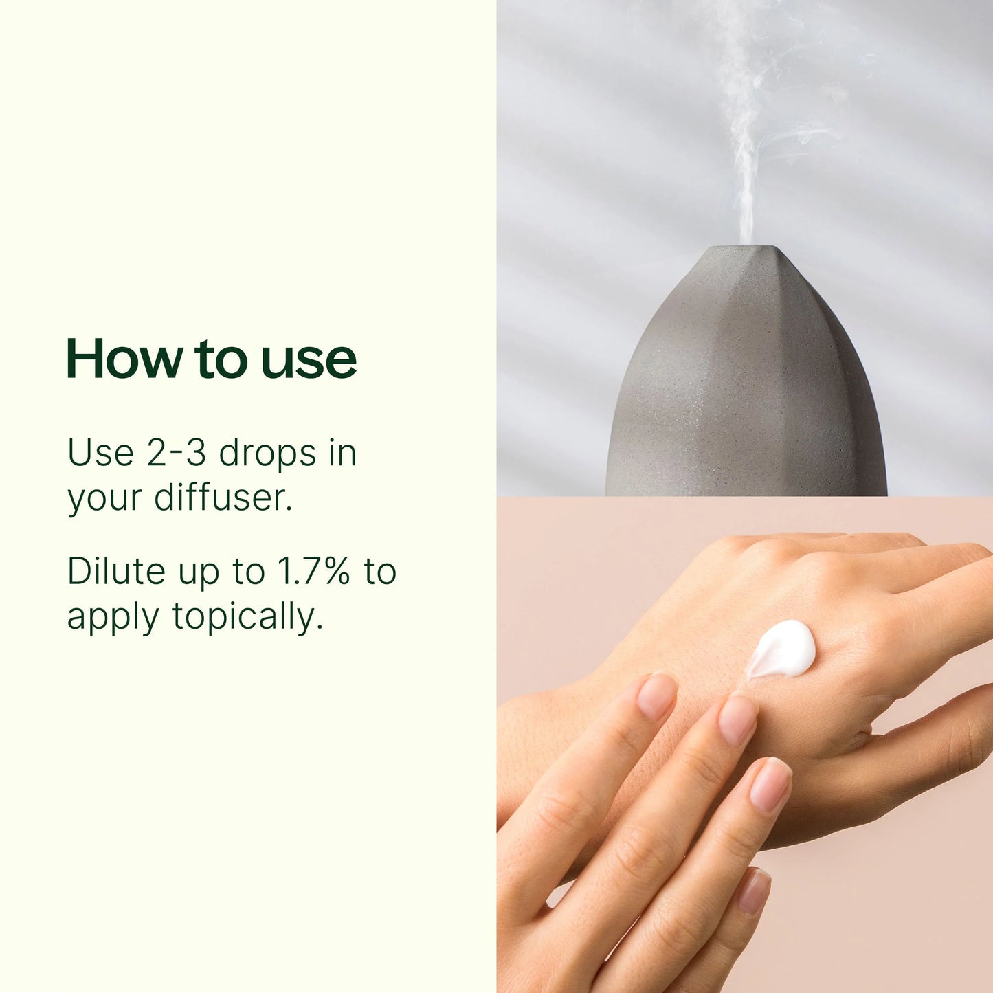 Spearmint ORGANIC Essential Oil