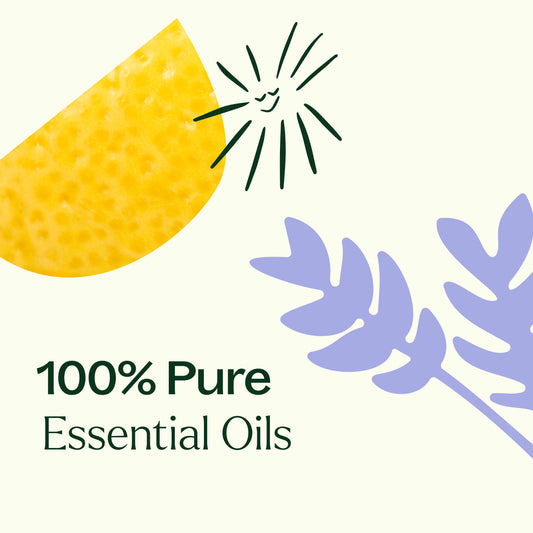 Sleep Easy Essential Oil Blend Roll On Set