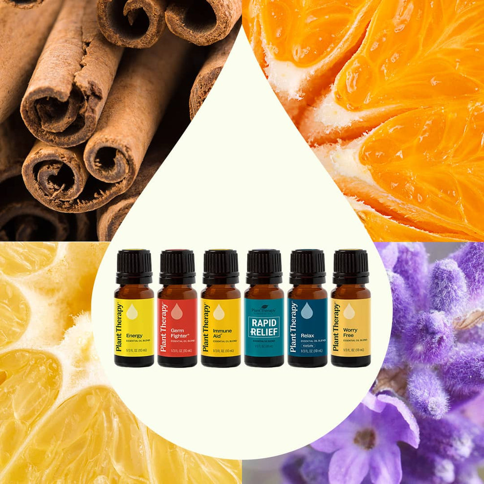 Top 6 Blends Set – Plant Therapy Australia