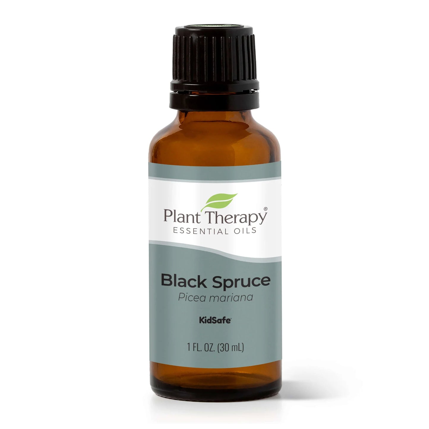 Spruce Black Essential Oil