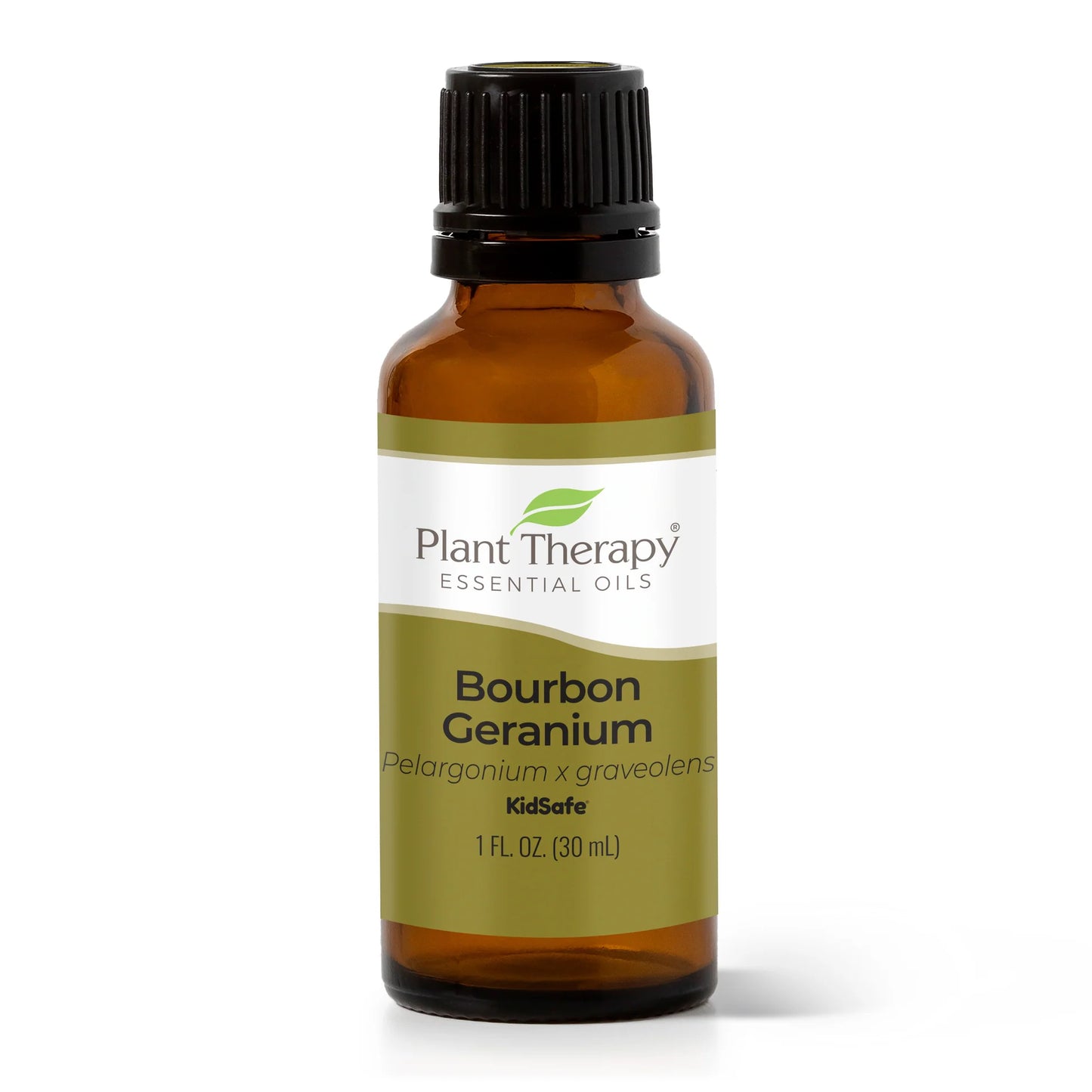 Bourbon Geranium Essential Oil