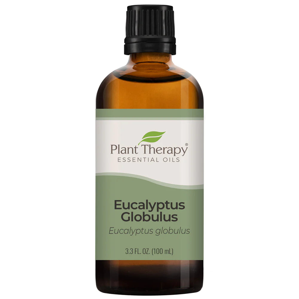 Eucalyptus Globulus ORGANIC Essential Oil