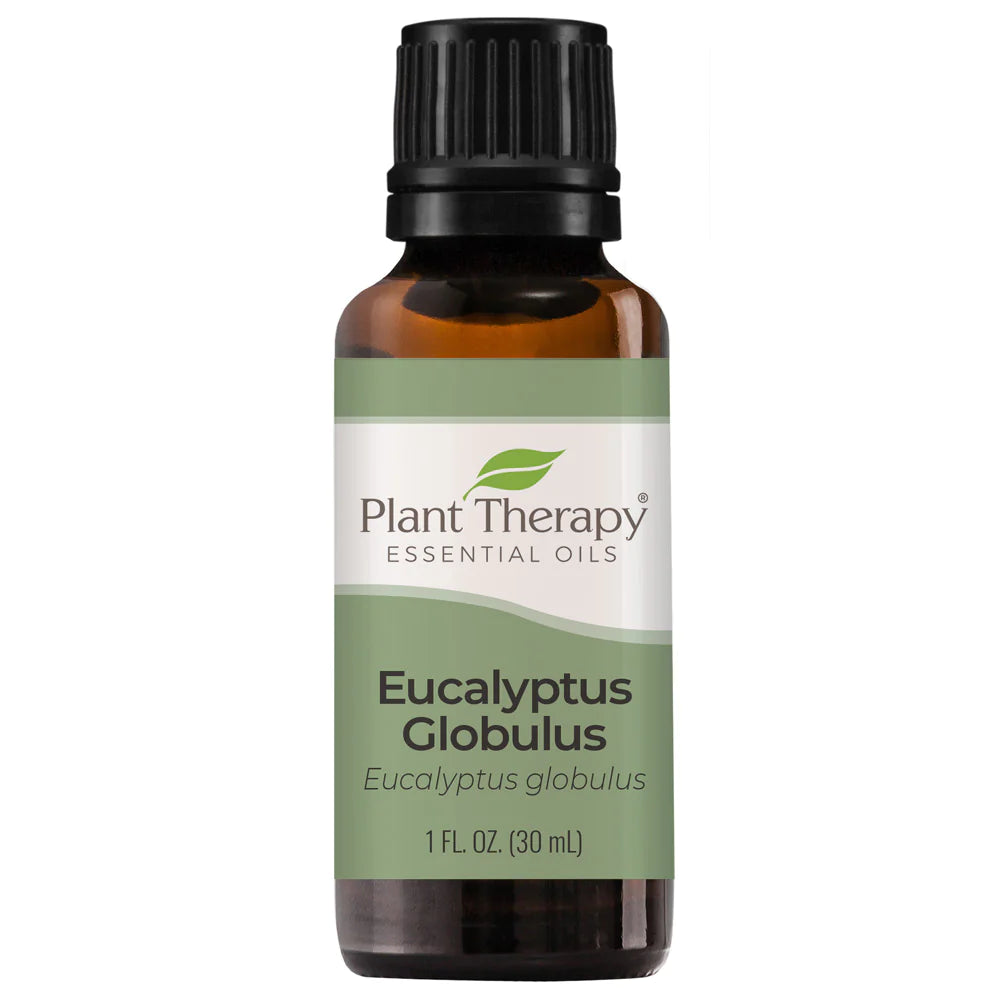 Eucalyptus Globulus ORGANIC Essential Oil