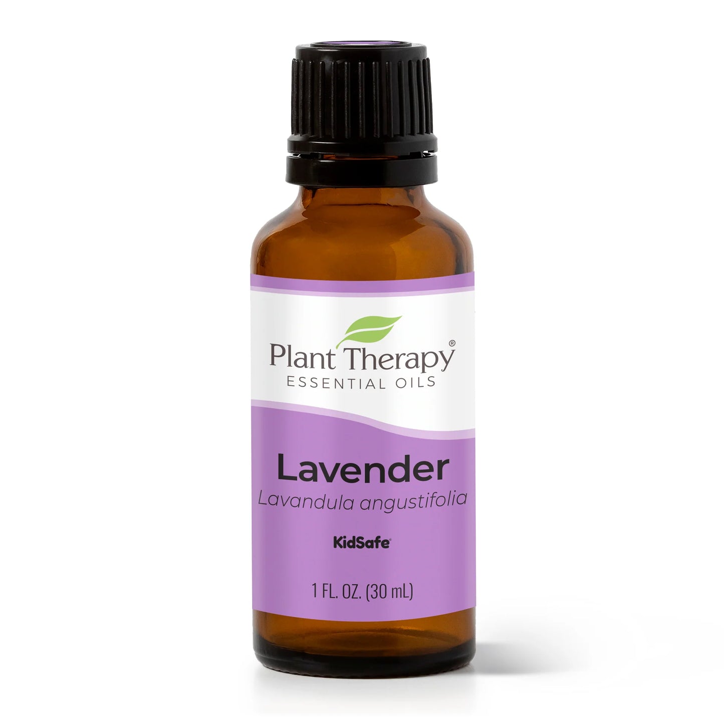 Lavender Essential Oil