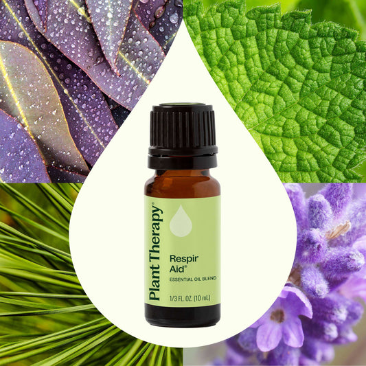 Respir Aid Synergy – Plant Therapy Australia
