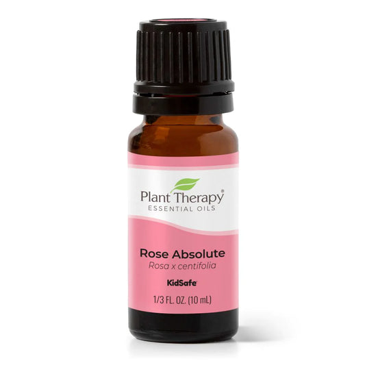 Rose Absolute Essential Oil