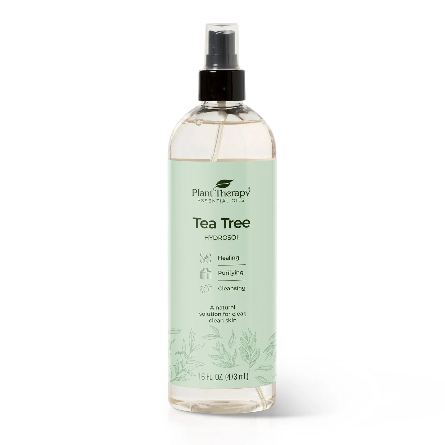 Tea Tree ORGANIC Hydrosol