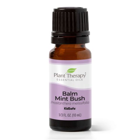 Balm Mint Bush