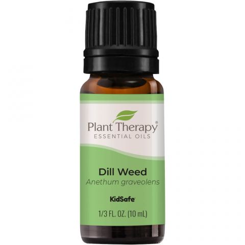 Dill Weed Essential Oil