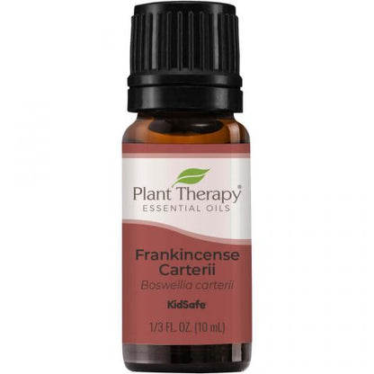 Frankincense Carterii Essential Oil