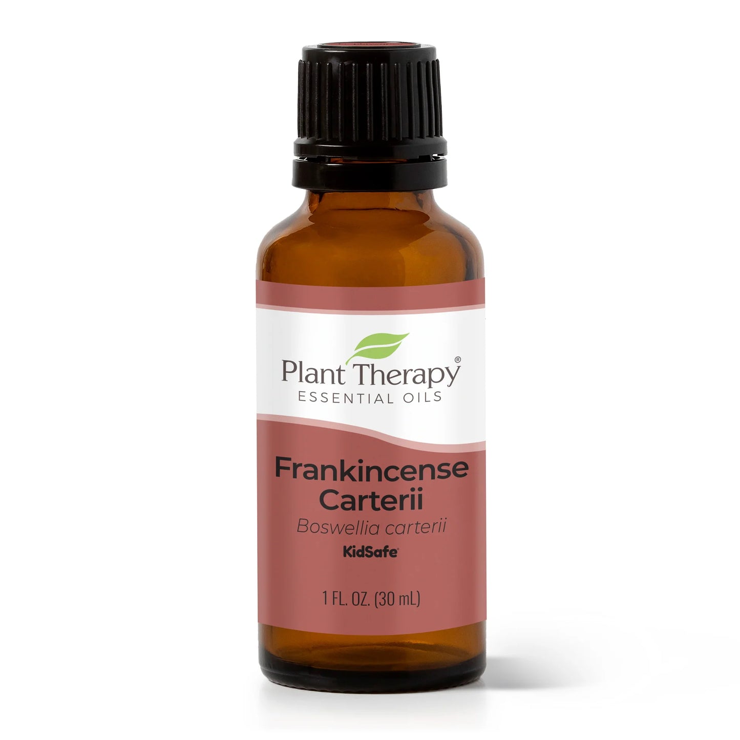 Frankincense Carteri Essential Oil